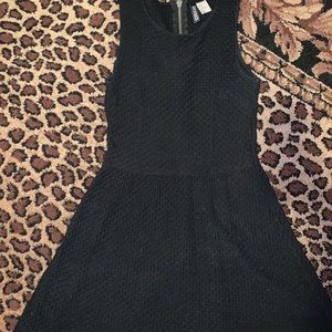 H&M Skater Dress